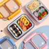 Gift Spill-Proof 2 Grid Lunch Box - Assorted - Single Piece