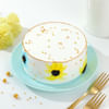 Sprinkle Floral Cake Online