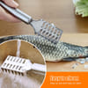 Gift Stainless Steel Fish Scale Remover - Assorted - Single Piece
