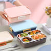 Shop Stainless Steel Lunch Box - Assorted - Single Piece