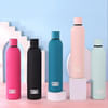 Stainless Steel Vacuum Bottle - Assorted - Single Piece Online