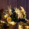 Buy String Lights - Dragon Fly - 3 Meter