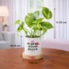 Gift Strong Women Bloom Money Plant