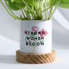 Buy Strong Women Bloom Money Plant