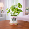 Strong Women Bloom Money Plant