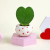 Buy Succulent Love ( set of 2 planters)