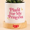 Shop Succulent Personalized Princess Plant For Girlfriend