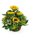 Summer Basket Online