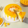 Shop Summer Delight Mango Cream Cake  (Half kg)