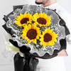 Shop Summer Symphony