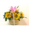 Sunflower Basket Online