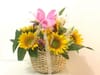 Sunflower Basket