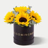 Sunflower Box Small Online