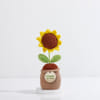 Shop Sunflower Crochet for Mother's Day
