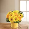 Sunny Surprise Arrangement
