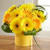 Sunny Surprise Arrangement Online