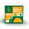 Gift Sunshine Marigold Grow Kit