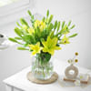 Gift Sunshine Radiance