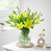 Sunshine Radiance Online
