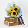 Sunshine Surprise Online