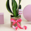 Gift Super Fresh Snake Plant with Jute Vase