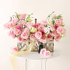 Shop Sweet Caroline