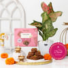 Sweet Indulgence Diwali Hamper Online