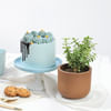 Sweet Prosperity Gift Combo Online