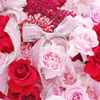 Shop Sweetheart's Secret