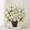 Sympathy Collection I Online