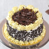 Gift Tasty Shaped Black Forest Cake