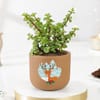 Terracotta Jade Christmas Planter Online