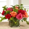 The FTD Lush Life Rose Bouquet Online