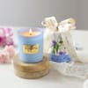 Shop The Rain-Kissed Garden