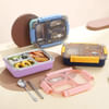 Gift Three Compartment Lunch Box - Assorted - Single Piece