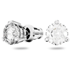 Buy Timeless Swarovski Solitaire Earrings