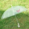 Buy Transparent Personalized Umbrella For Her