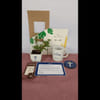 Travclan Hamper (Plant, Mug and Chocolate)