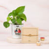Buy Tree of Life Rakhi and Golden Money Plant Gift Set