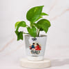 Shop Tree of Life Rakhi and Golden Money Plant Gift Set
