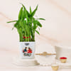 Shop Tree of Life Rakhi and Lucky Bamboo Gift Set