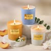 Gift Trio of Scented Candles 150gms - Peach Mandarin, Gardenia Glow & The First Rain