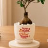 Gift Trust Bappa Bonsai Plant