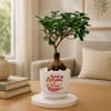 Trust Bappa Bonsai Plant