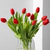 Buy Tulip Moments of Love