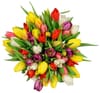 Tulips Florist Choice Bouquet