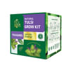 Tulsi Plant Grow Kit Online