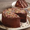 Two Layer Chocolate Cake with Sprinkles (1 Kg) Online