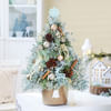 Gift Under the Mistletoe