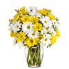 Upsy Daisy Online